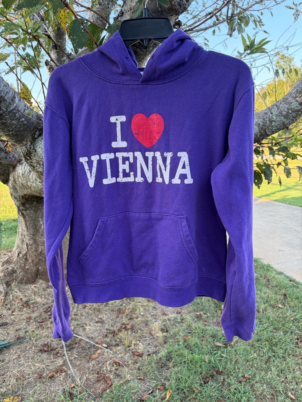 Purple “I ♥ Vienna” youth Hoodie Sweatshirt xL